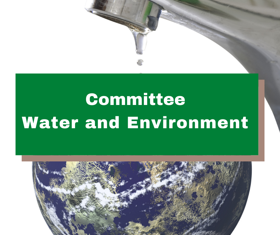 _Comité Agua y Ambiente