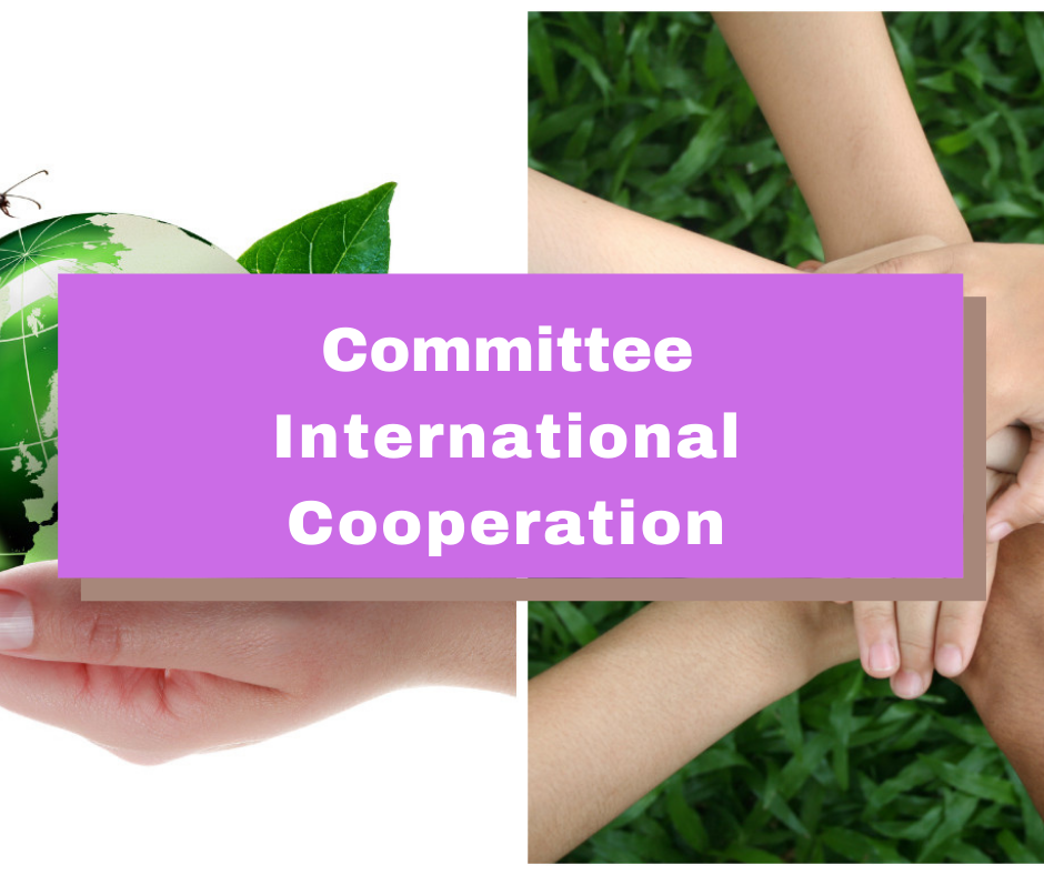 Comité Cooperación Internacional