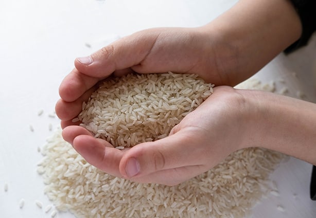 Baby hands that hold uncooked rice. Useful food for children. Porridge with vitamins