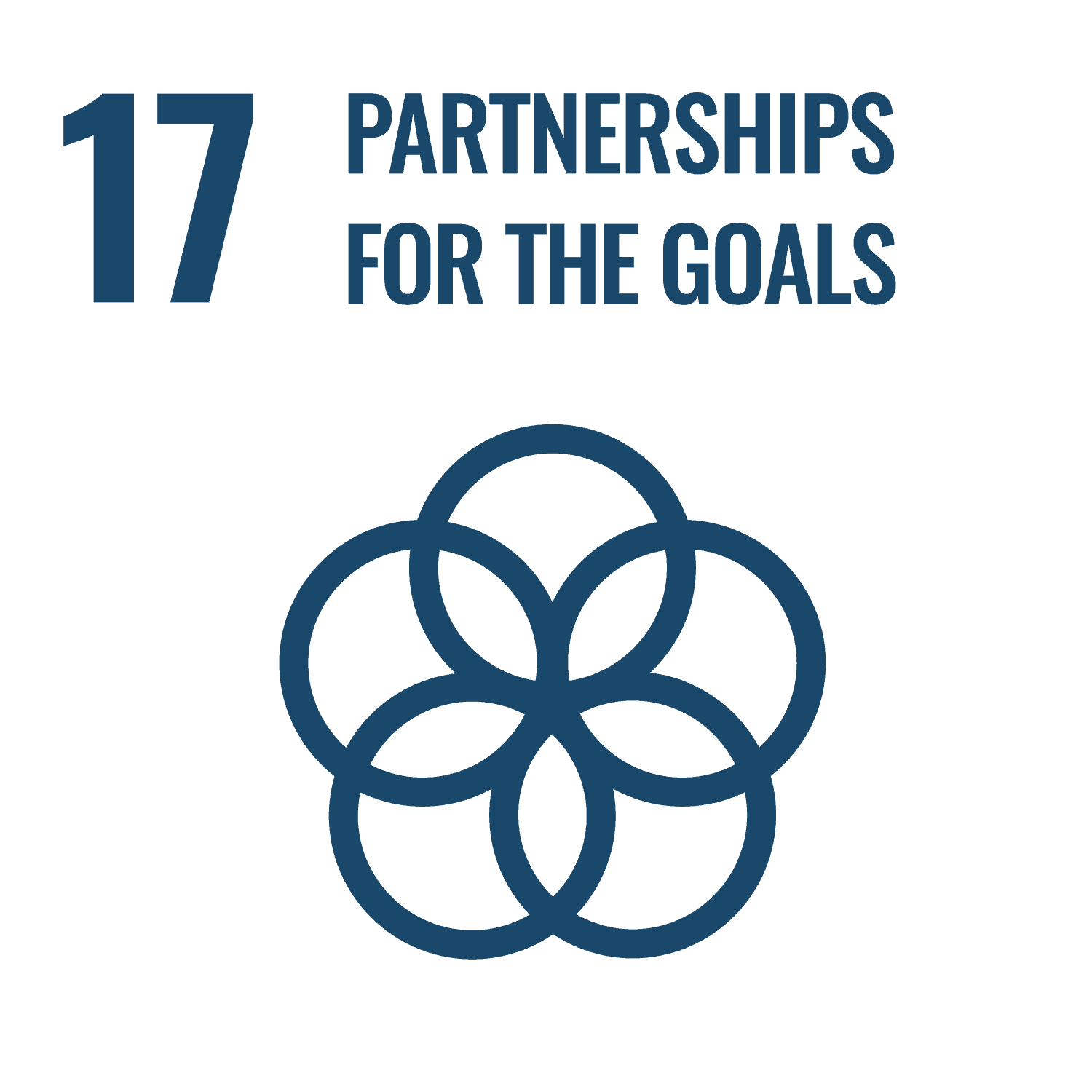 UN Sustainable Development Goal number 17